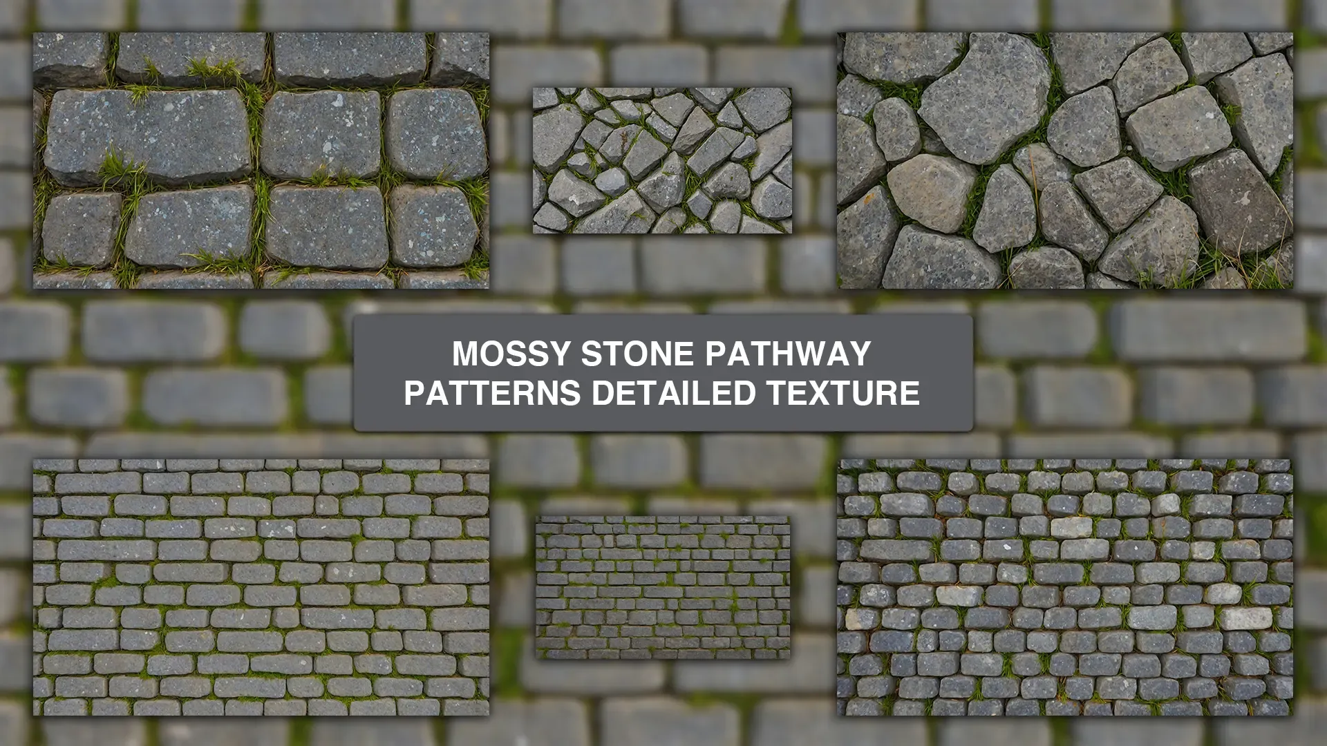 Mossy Stone Pathway Patterns Detailed Texture Background Images Pack